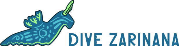 dive zarinana